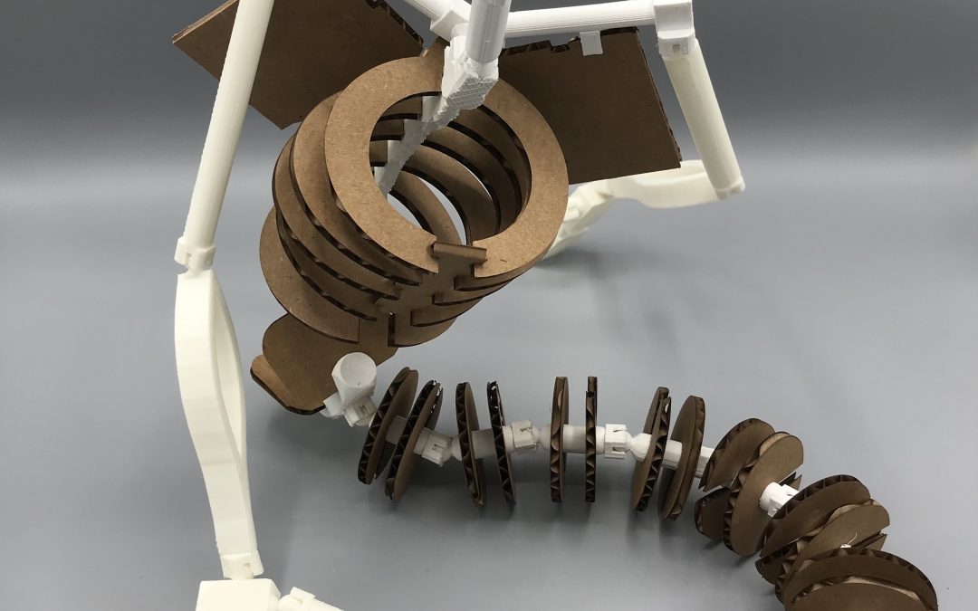 Skeleton Snake Puppet