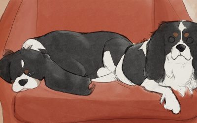 Cavaliers on Orange Chair