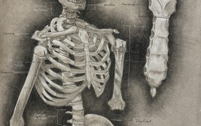 Charcoal Skeleton