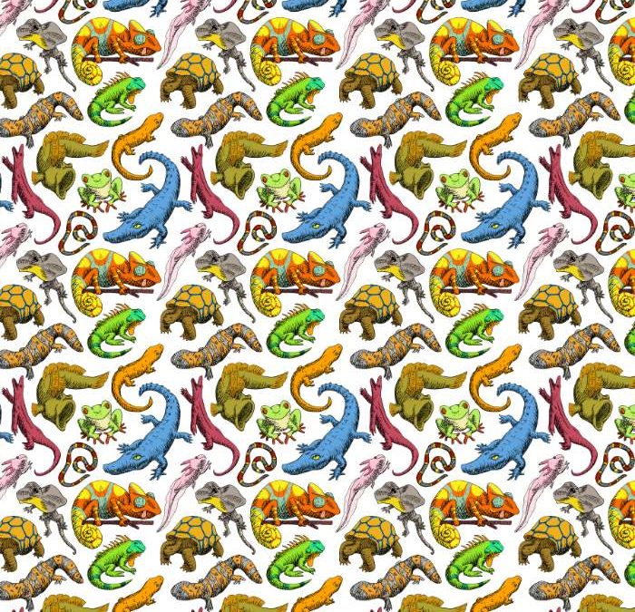 Cold-Blooded Pattern