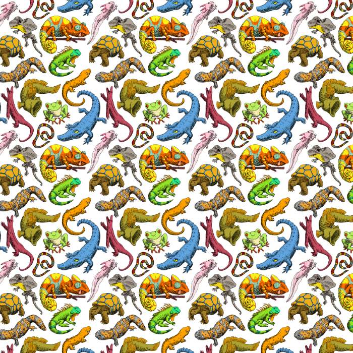 Cold-Blooded Pattern