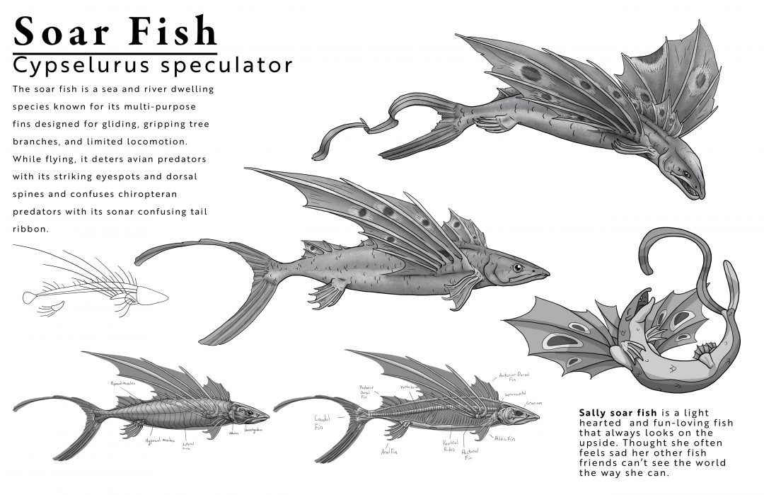 Soar Fish